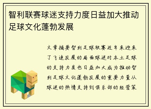 智利联赛球迷支持力度日益加大推动足球文化蓬勃发展
