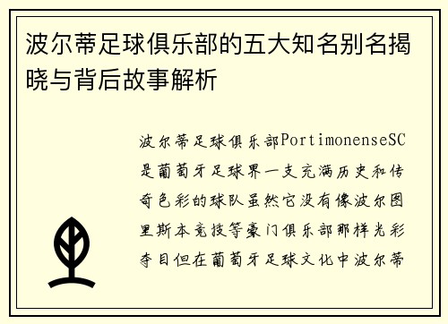 波尔蒂足球俱乐部的五大知名别名揭晓与背后故事解析