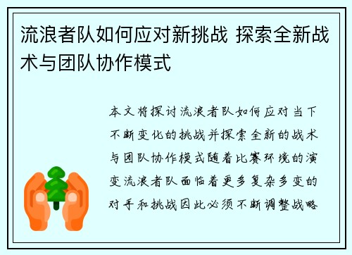 流浪者队如何应对新挑战 探索全新战术与团队协作模式