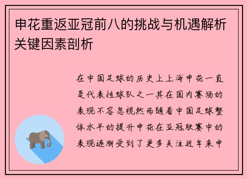 申花重返亚冠前八的挑战与机遇解析关键因素剖析