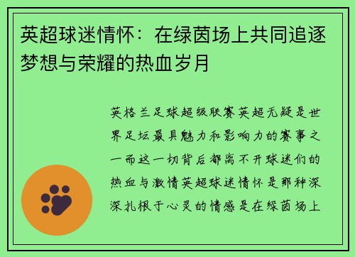 英超球迷情怀：在绿茵场上共同追逐梦想与荣耀的热血岁月