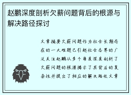 赵鹏深度剖析欠薪问题背后的根源与解决路径探讨